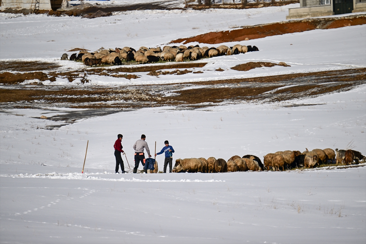 A A 20250203 36941632 36941621 C I G D A 42 K I S I N I N H A Y A T I N I K A Y B E T T I G I B A H C E S A R A Y Y O L U R I S K L I G U N L E R D E K A P A T I L I Y O R