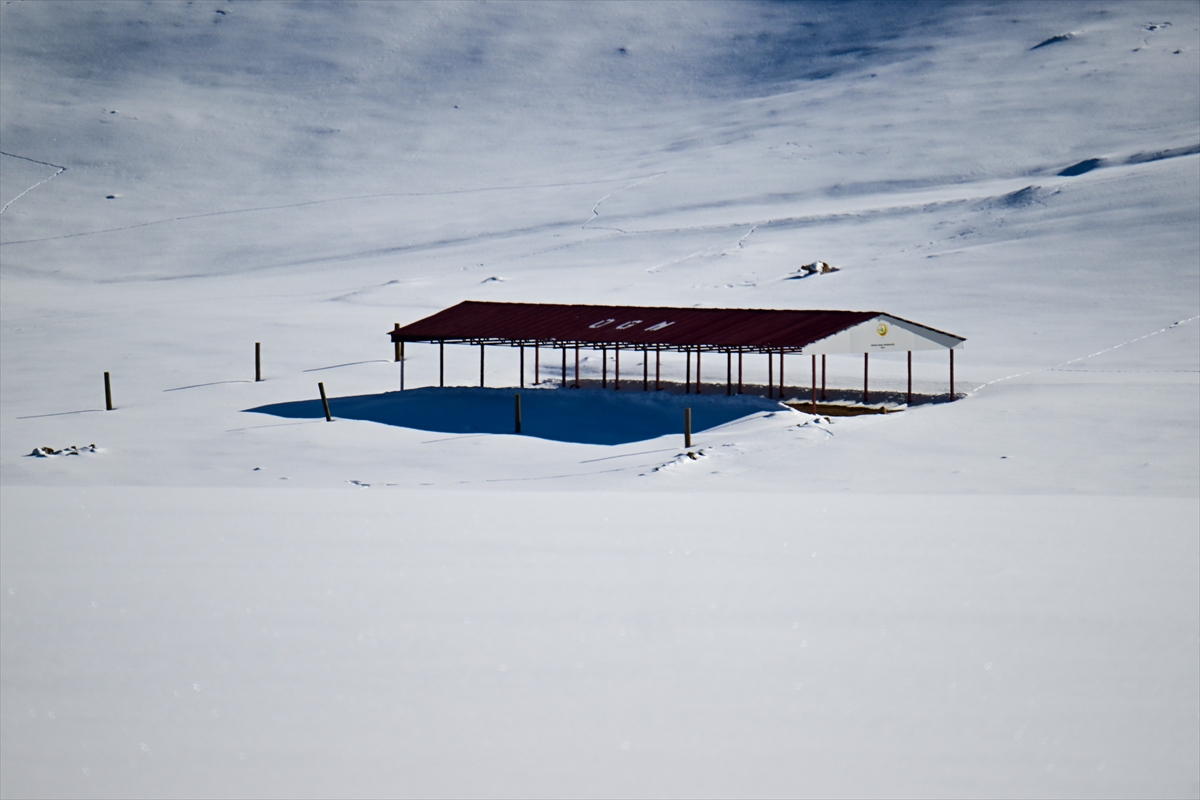 A A 20250203 36941632 36941625 C I G D A 42 K I S I N I N H A Y A T I N I K A Y B E T T I G I B A H C E S A R A Y Y O L U R I S K L I G U N L E R D E K A P A T I L I Y O R