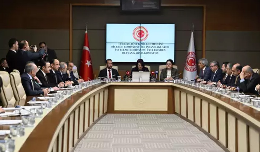 Kamu Başdenetçisi