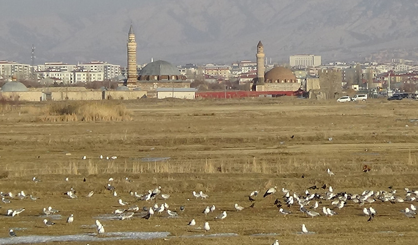 Baharın Habercisi