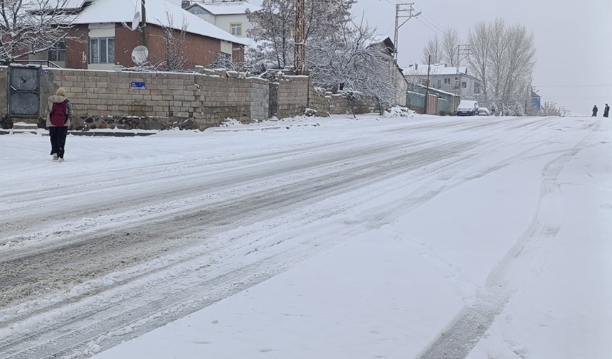 Kar Yağışı.jpg1-4