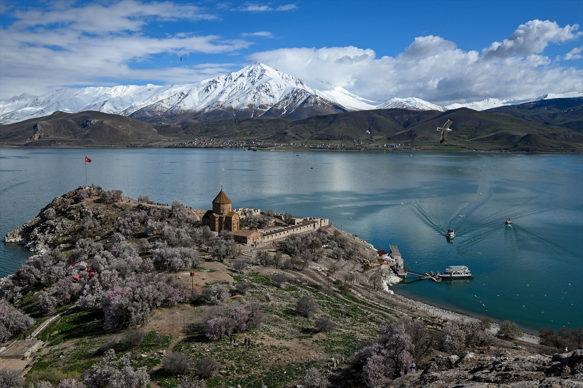 A A 20250418 37667026 37666995 B A H A R I N T O N L A R I N A B U R U N E N A K D A M A R A D A S I B A D E M C I C E G I F E S T I V A L I N E H A Z I R L A N I Y O R