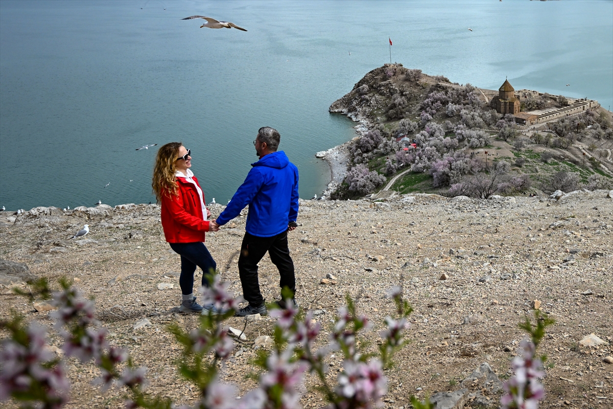 A A 20250418 37667026 37667013 B A H A R I N T O N L A R I N A B U R U N E N A K D A M A R A D A S I B A D E M C I C E G I F E S T I V A L I N E H A Z I R L A N I Y O R