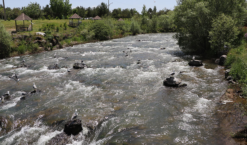 A E S F R G D T H F Y J K G T U L Ö F M D N