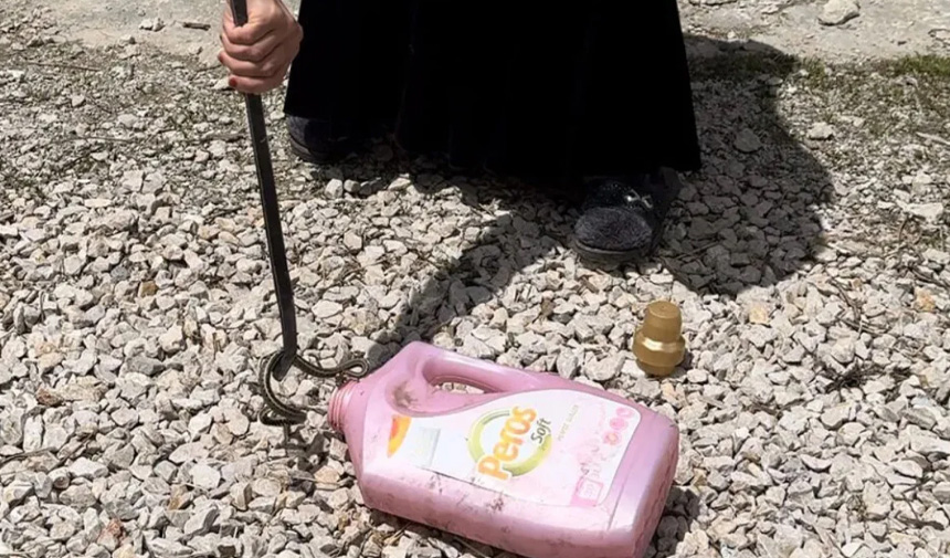 Aile Yılanlarla Yaşıyor1