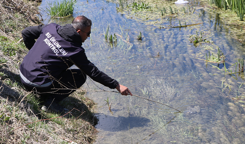 D A W S F E G D R H T F J Y G M F