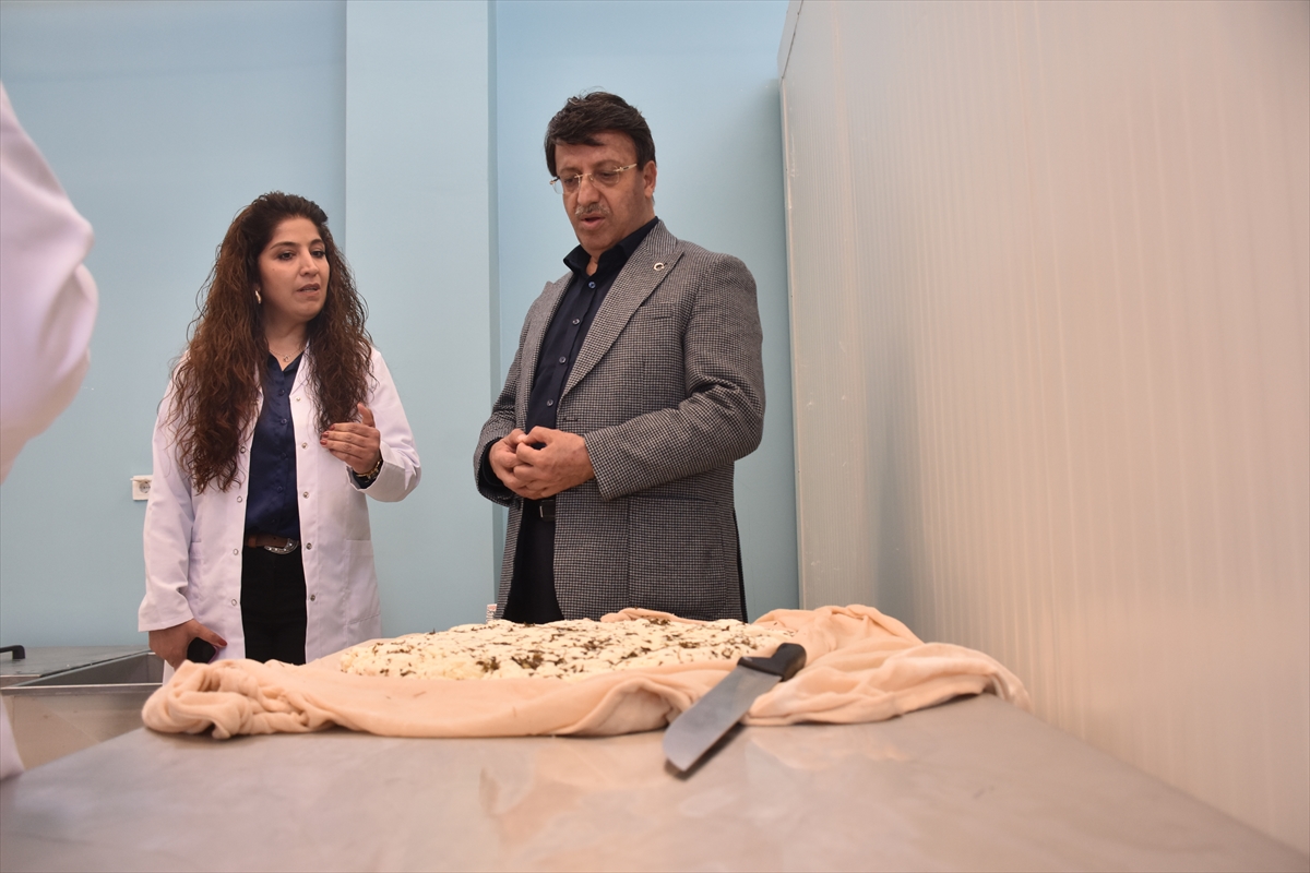 A A 20250517 37983940 37983936 V A N D A K O O P E R A T I F K U R A N K A D I N L A R Y I L I N I L K P E Y N I R U R E T I M I N E B A S L A D I