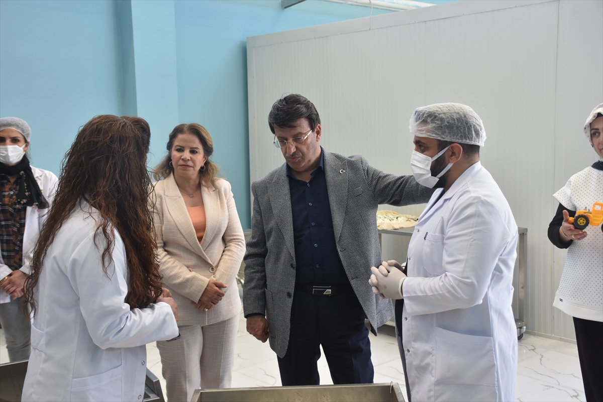 A A 20250517 37983940 37983937 V A N D A K O O P E R A T I F K U R A N K A D I N L A R Y I L I N I L K P E Y N I R U R E T I M I N E B A S L A D I