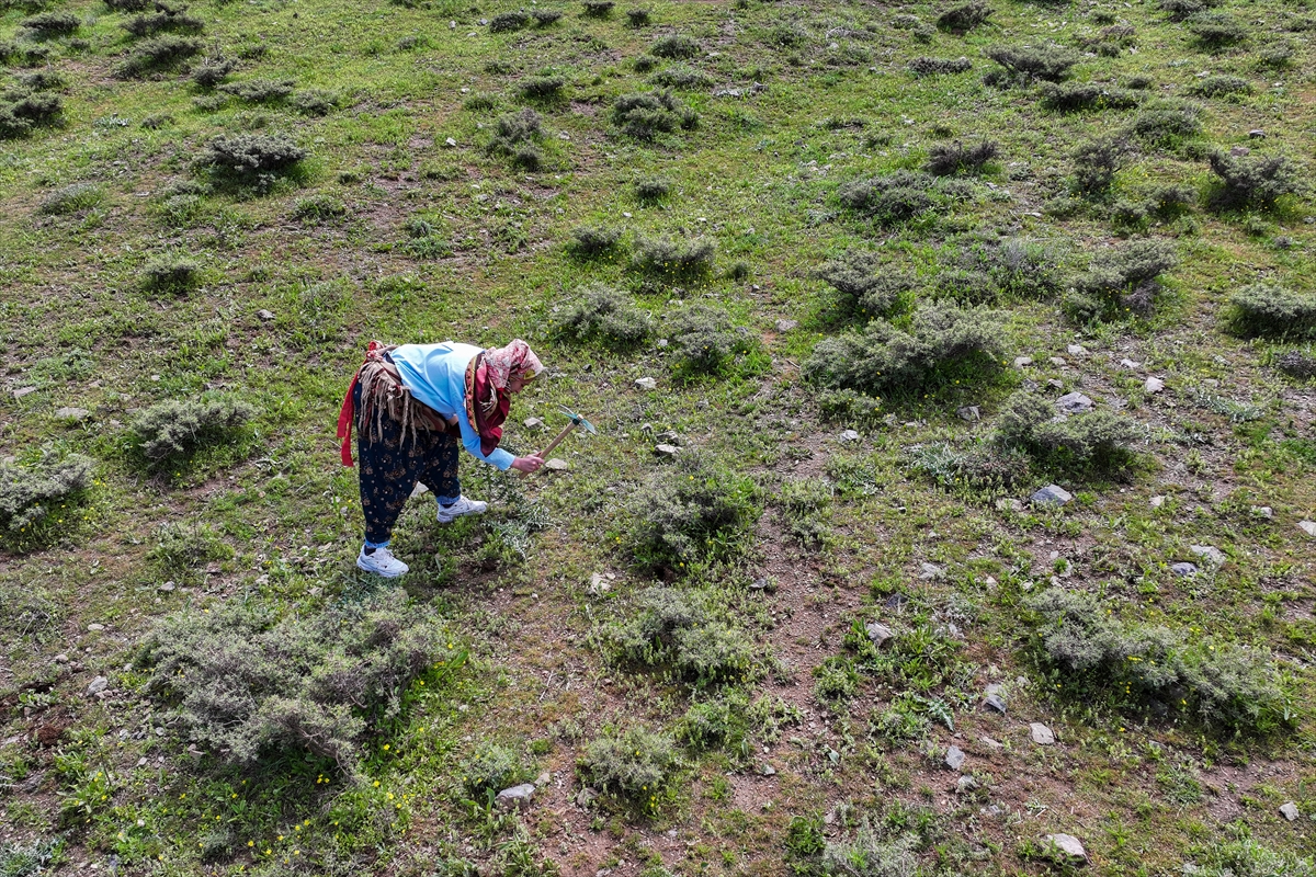 A A 20250521 38027852 38027810 V A N V E C E V R E I L L E R D E Y O R E S E L Y I Y E C E K L E R I L E Z Z E T L E N D I R E N B I T K I L E R B I L I N C L E N D I R M E F A A L I Y E T L E R I Y L E K O R U N U Y O R