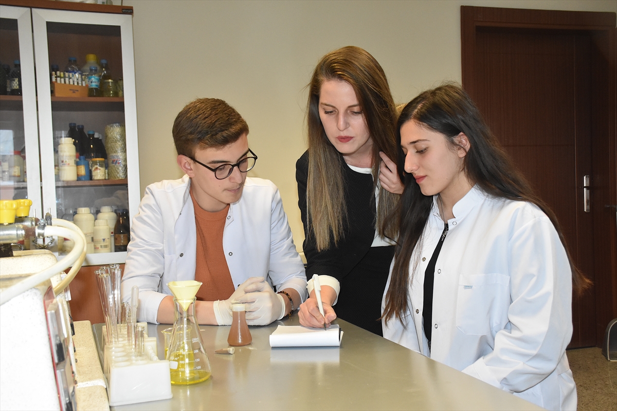 A A 20250521 38032554 38032548 V A N K E D I S I N I N T U Y U O G R E N C I L E R I N B I L I M S E L C A L I S M A S I N A K O N U O L D U