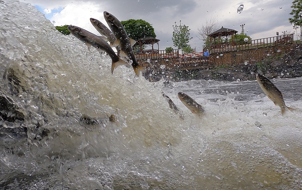 A A 20250529 38117999 38117998 A K A R S U L A R A G O C E D E N I N C I K E F A L I N I N Y O L C U L U G U S U A L T I K A M E R A S I N D A