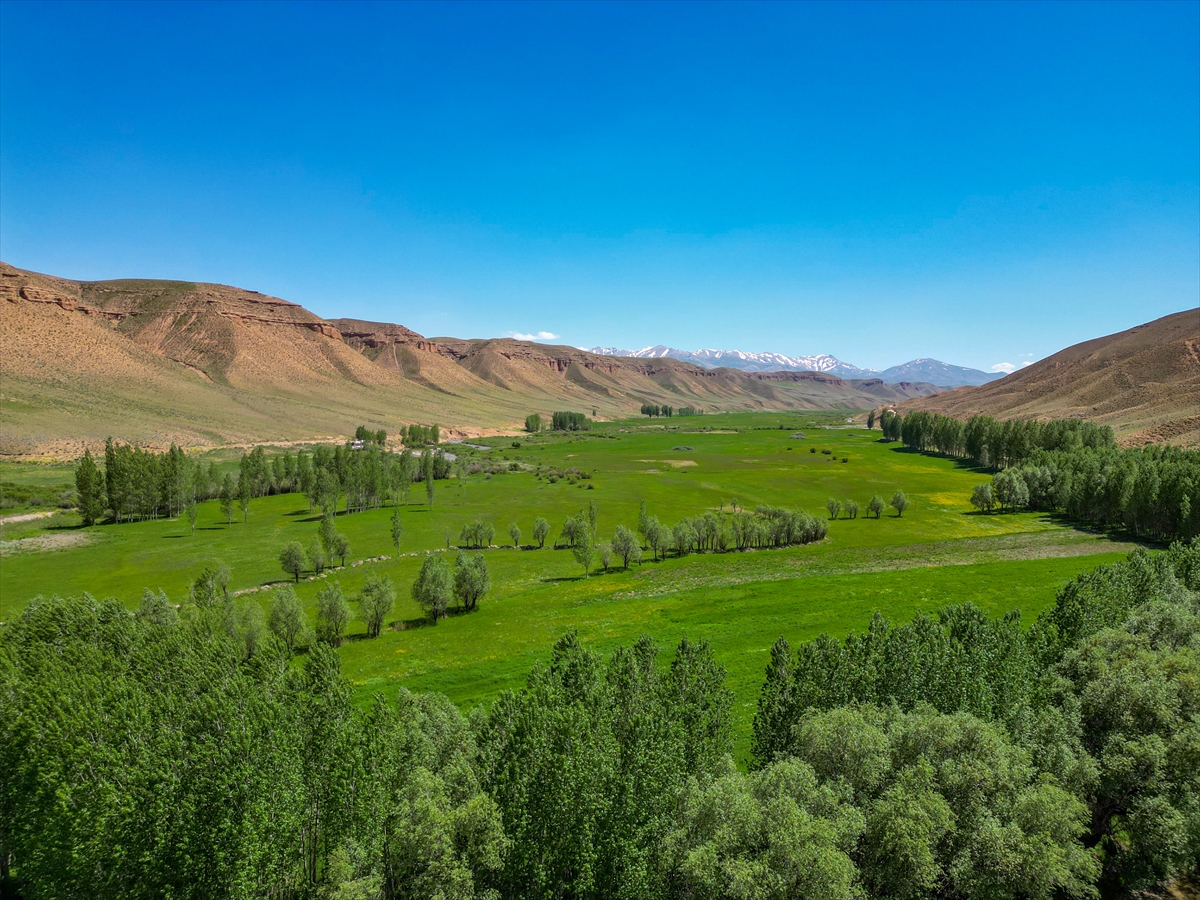 A A 20250530 38132217 38132197 V A N D A K I M E N D E R E S L E R D E I L K B A H A R G U Z E L L I G I D R O N L A G O R U N T U L E N D I