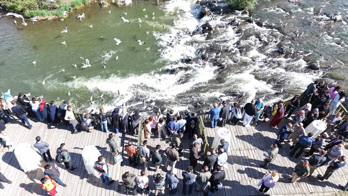 A A 20250530 38135365 38135358 V A N D A 12 U L U S L A R A R A S I I N C I K E F A L I G O C U K U L T U R V E S A N A T F E S T I V A L I B A S L A D I