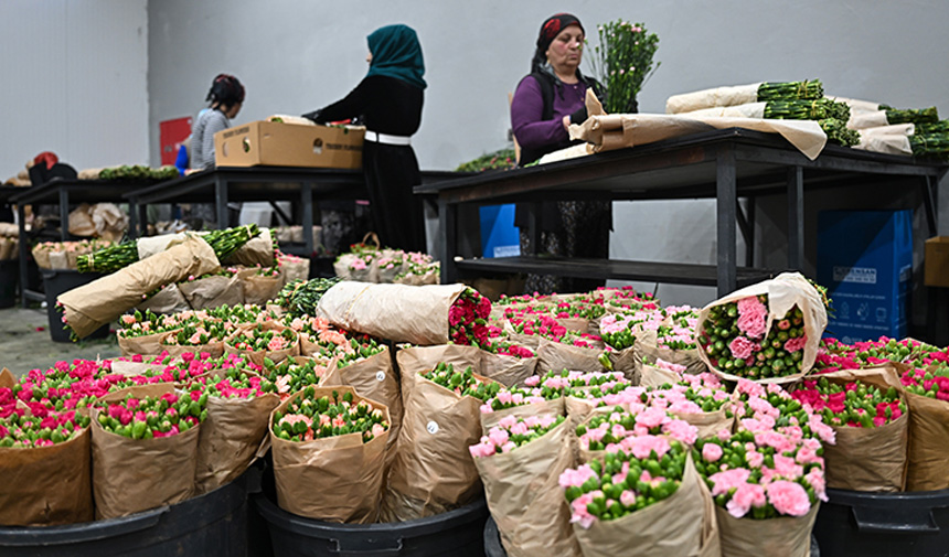 Çiçek Sektörü.jpg6