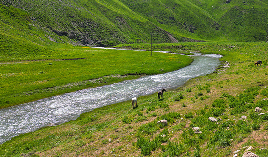 Faraşin Yaylası.jpg0