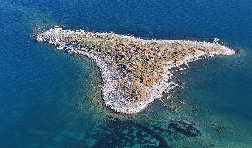 Kuarklık
