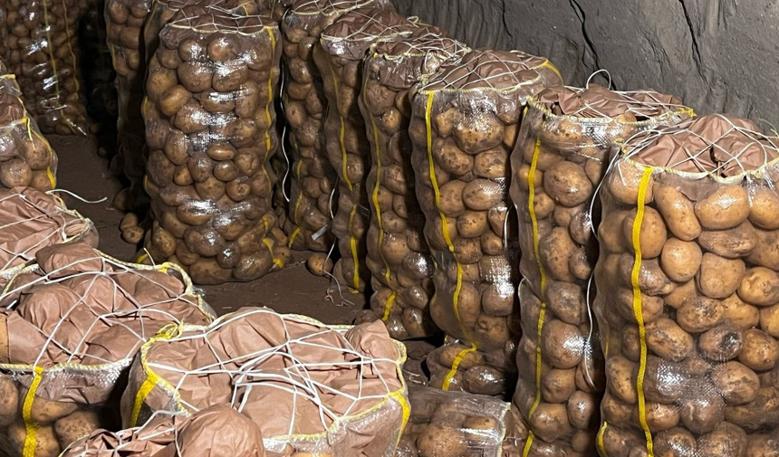 Patates Virüsü.jpg5
