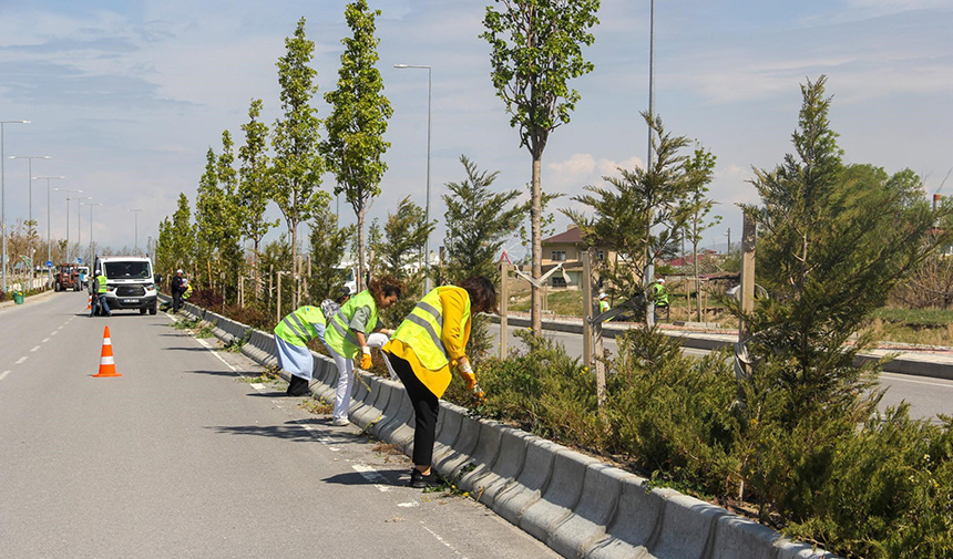 Sahil Yolu Çalışması