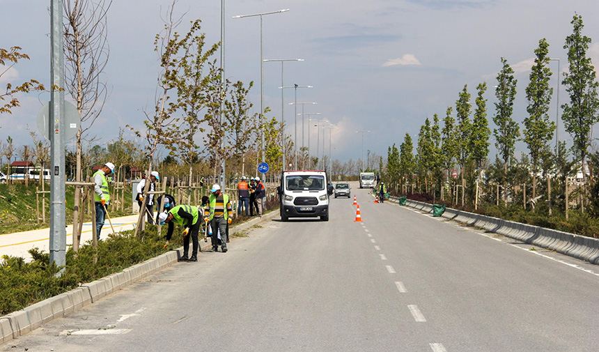 Sahil Yolu Çalışması.jpg1