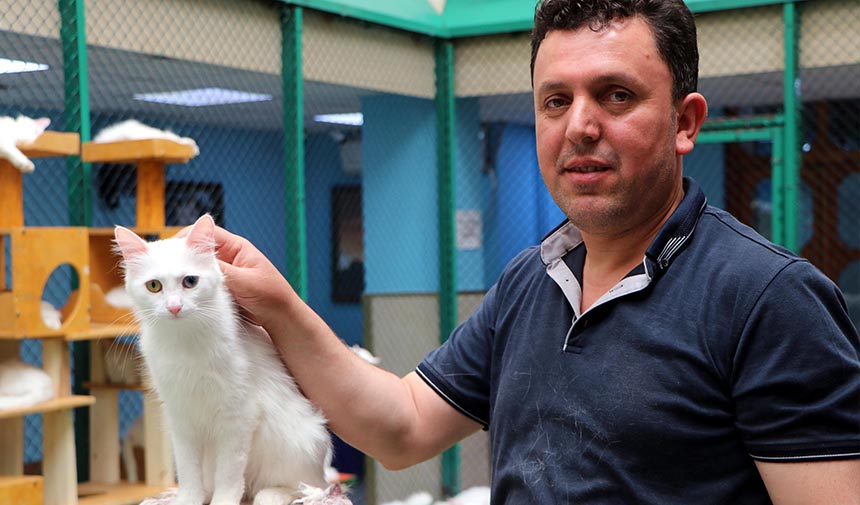 A W D E S F G R D H T F J G Y H U J