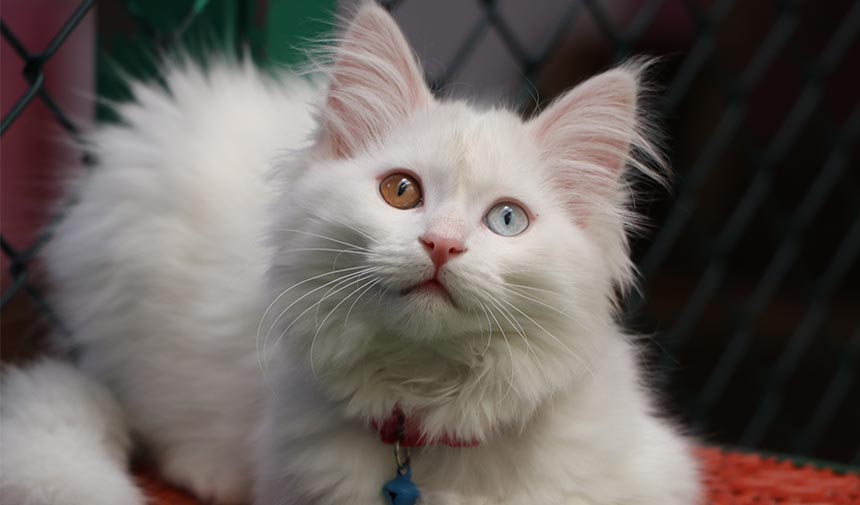 A W D F E S G R D H T F J Y G K U H-1