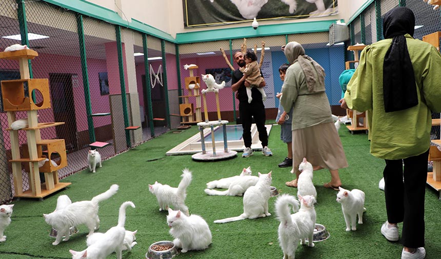 D W A F E S G D R H F G J H J K