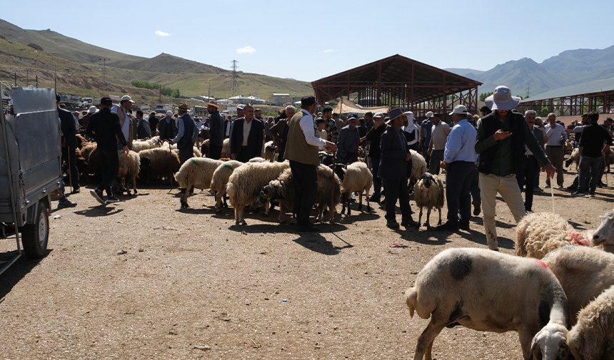 Kurban Bayramı.jpg2-2