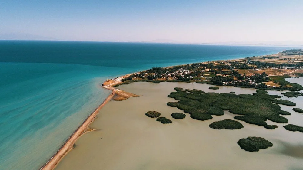 Stk2 Wolxik2H2 A F Ey N8 Sy A