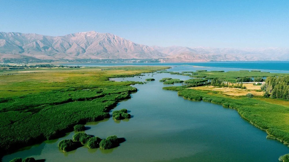 U8P Ntw K7 C Ue Q64 Z A Q G C Rug