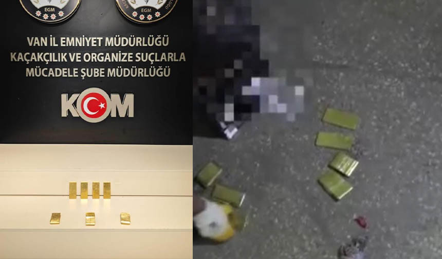 W D A F E S G R D H T F G Y J U K H I