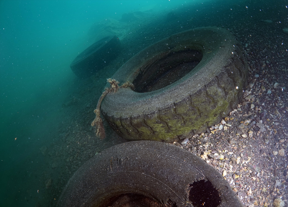 A A 20250708 38501742 38501735 D A L G I C L A R F A R K I N D A L I K O L U S T U R M A K I C I N V A N G O L U N D E D I P T E M I Z L I G I Y A P T I