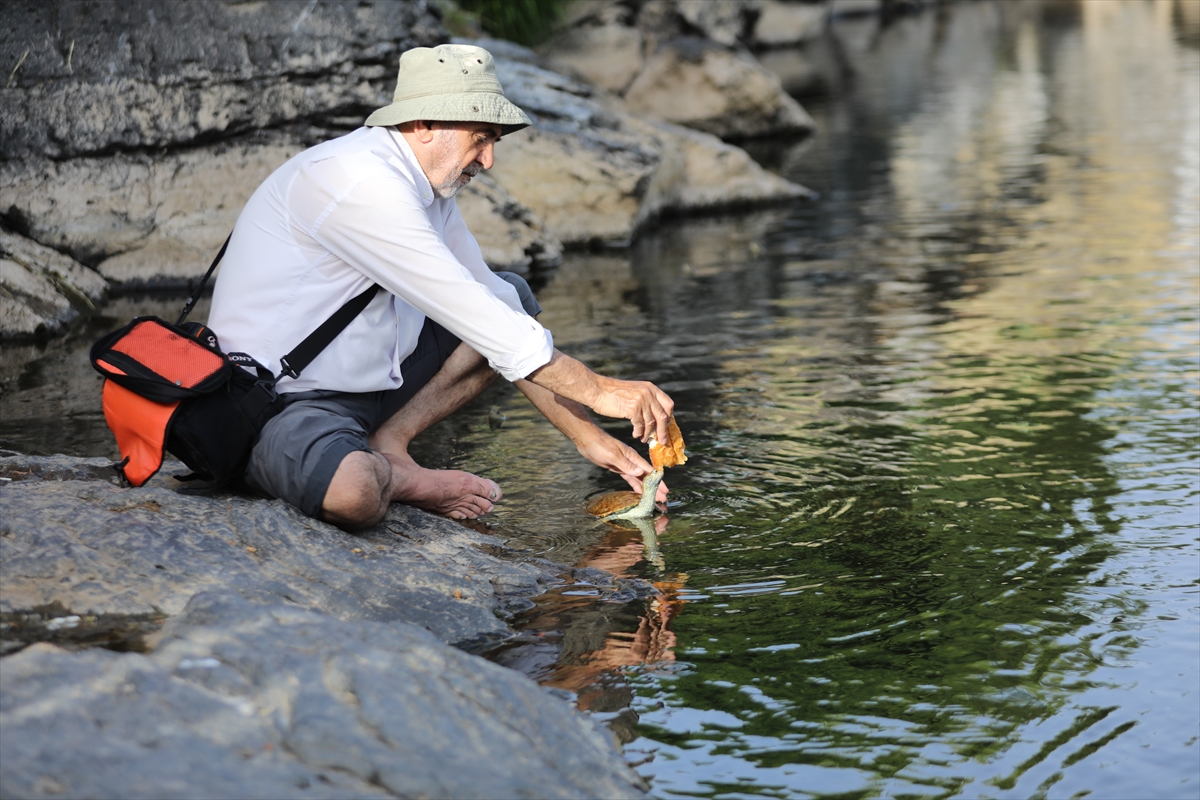 A A 20250709 38512544 38512539 V A N L I D O G A F O T O G R A F C I S I D E L I C A Y D A K I S U K A P L U M B A G A L A R I N I E L L E R I Y L E B E S L I Y O R