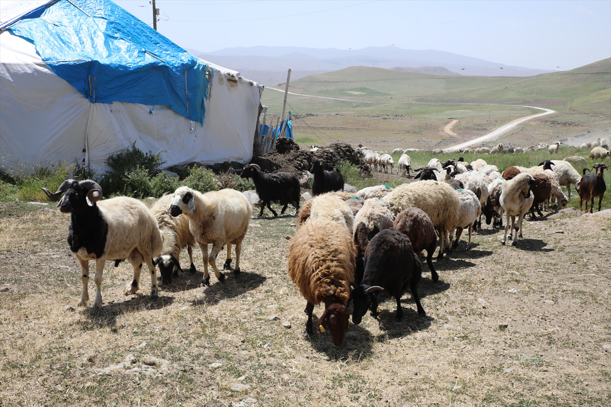 A A 20250713 38546644 38546631 V A N L I B E S I C I L E R 2 B I N 700 R A K I M D A K I Y A Y L A D A O T L U P E Y N I R U R E T I Y O R