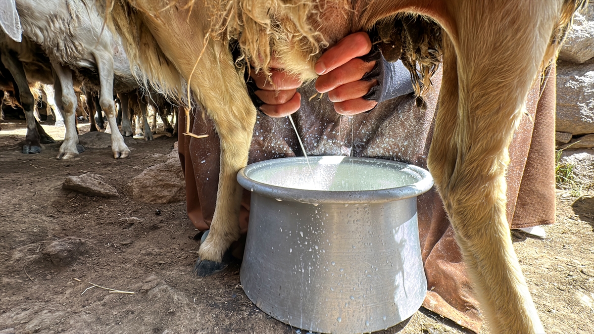 A A 20250713 38546644 38546632 V A N L I B E S I C I L E R 2 B I N 700 R A K I M D A K I Y A Y L A D A O T L U P E Y N I R U R E T I Y O R