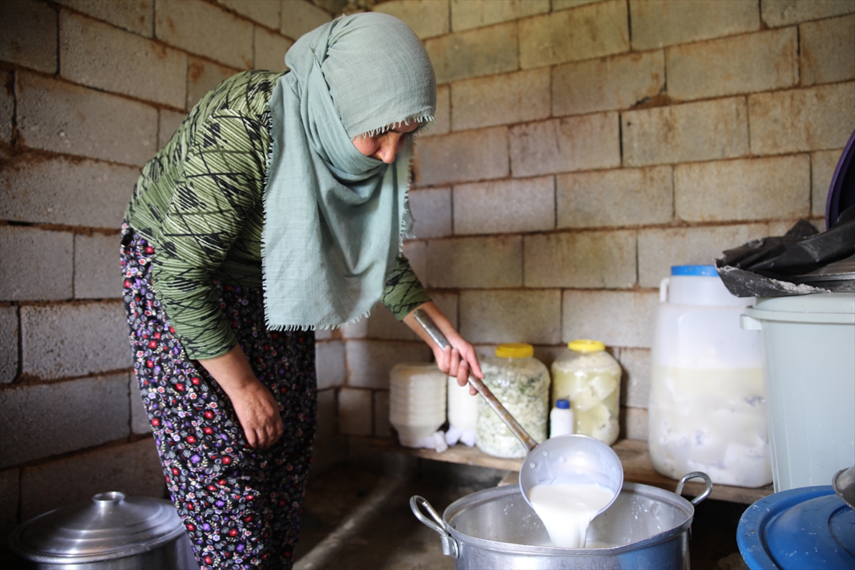 A A 20250713 38546644 38546634 V A N L I B E S I C I L E R 2 B I N 700 R A K I M D A K I Y A Y L A D A O T L U P E Y N I R U R E T I Y O R