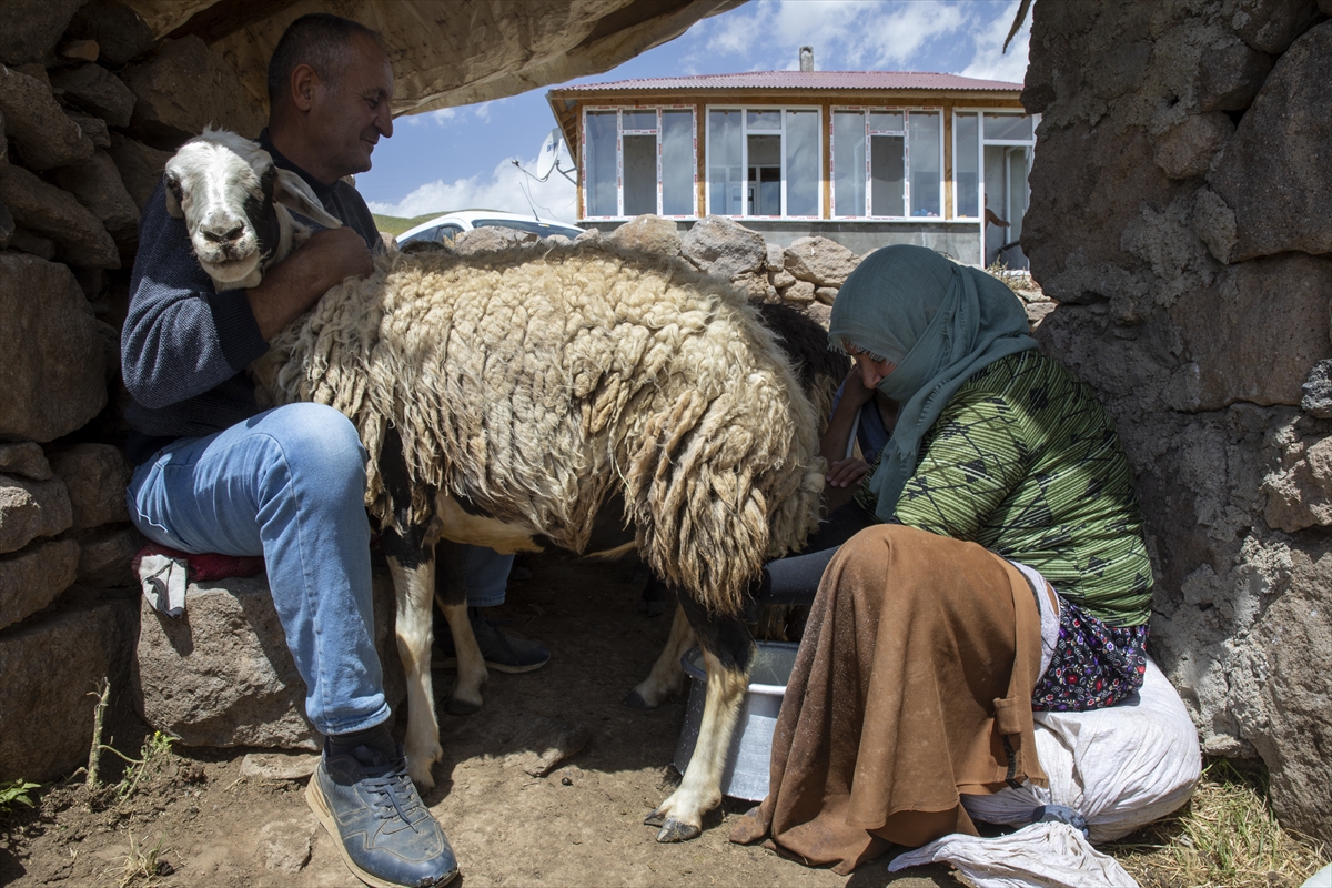 A A 20250713 38546644 38546637 V A N L I B E S I C I L E R 2 B I N 700 R A K I M D A K I Y A Y L A D A O T L U P E Y N I R U R E T I Y O R