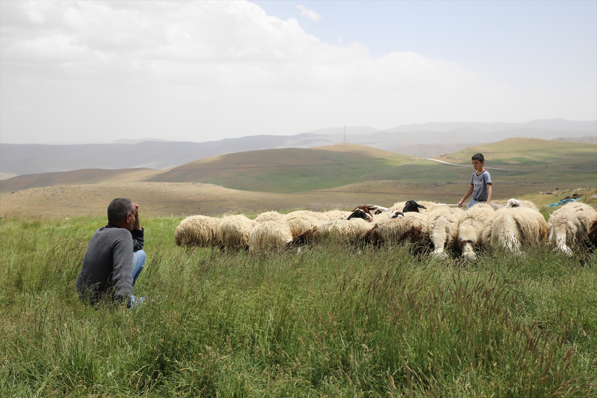 A A 20250713 38546644 38546639 V A N L I B E S I C I L E R 2 B I N 700 R A K I M D A K I Y A Y L A D A O T L U P E Y N I R U R E T I Y O R