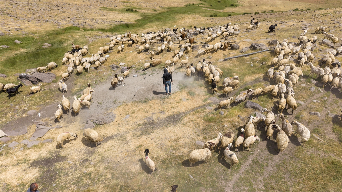 A A 20250713 38546644 38546642 V A N L I B E S I C I L E R 2 B I N 700 R A K I M D A K I Y A Y L A D A O T L U P E Y N I R U R E T I Y O R