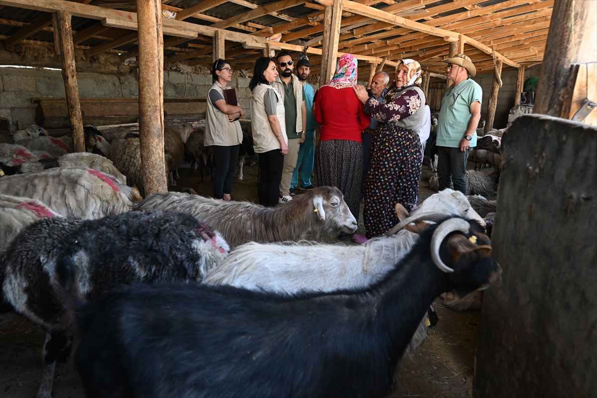 A A 20250716 38574574 38574553 O T L U P E Y N I R I N S O F R A L A R A S A G L I K L I U L A S M A S I I C I N K A D I N U R E T I C I L E R T E K T E K B I L G I L E N D I R I L I Y O R