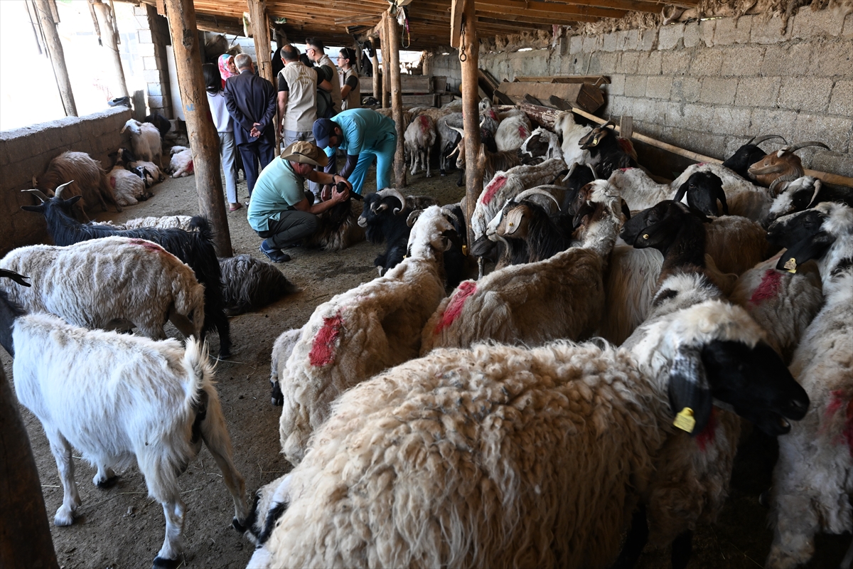 A A 20250716 38574574 38574555 O T L U P E Y N I R I N S O F R A L A R A S A G L I K L I U L A S M A S I I C I N K A D I N U R E T I C I L E R T E K T E K B I L G I L E N D I R I L I Y O R