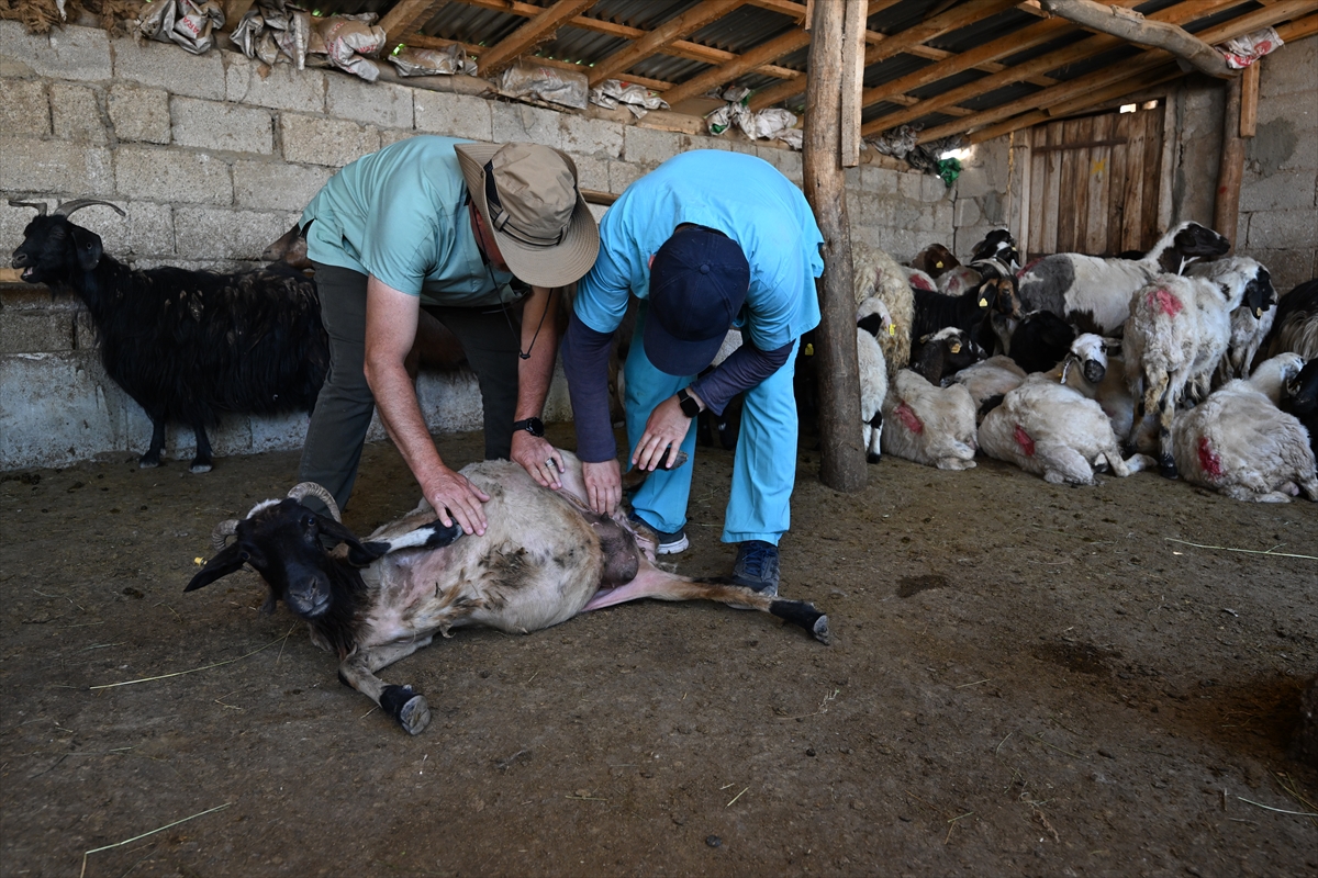 A A 20250716 38574574 38574556 O T L U P E Y N I R I N S O F R A L A R A S A G L I K L I U L A S M A S I I C I N K A D I N U R E T I C I L E R T E K T E K B I L G I L E N D I R I L I Y O R