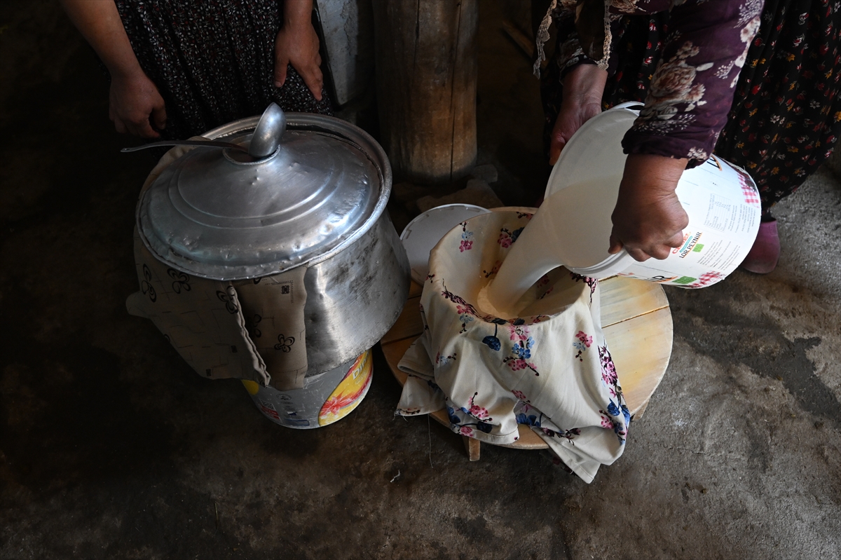 A A 20250716 38574574 38574564 O T L U P E Y N I R I N S O F R A L A R A S A G L I K L I U L A S M A S I I C I N K A D I N U R E T I C I L E R T E K T E K B I L G I L E N D I R I L I Y O R