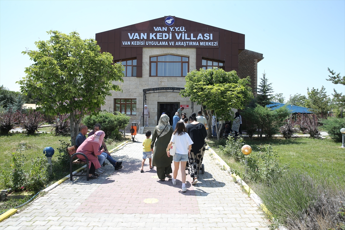 A A 20250722 38624968 38624964 K O R U M A A L T I N D A K I V A N K E D I L E R I N I 5 Y I L D A Y A K L A S I K 750 A I L E S A H I P L E N D I