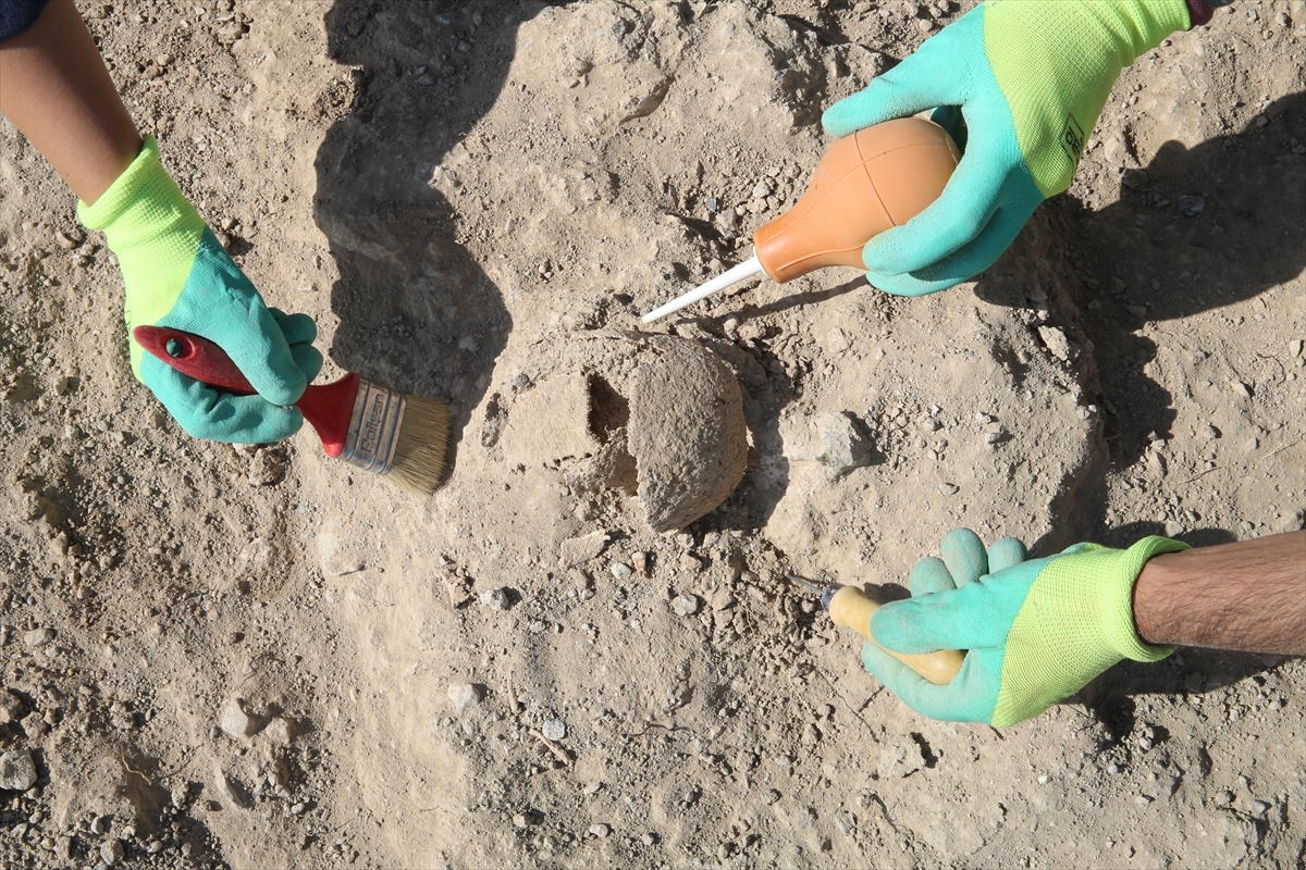 A A 20250723 38635359 38635351 A R K E O L O G L A R K A V U R U C U S I C A K T A U R A R T U L A R I N A S I R L A R O N C E K I Y A S A M I N I N I Z L E R I N I A R A S T I R I Y O R