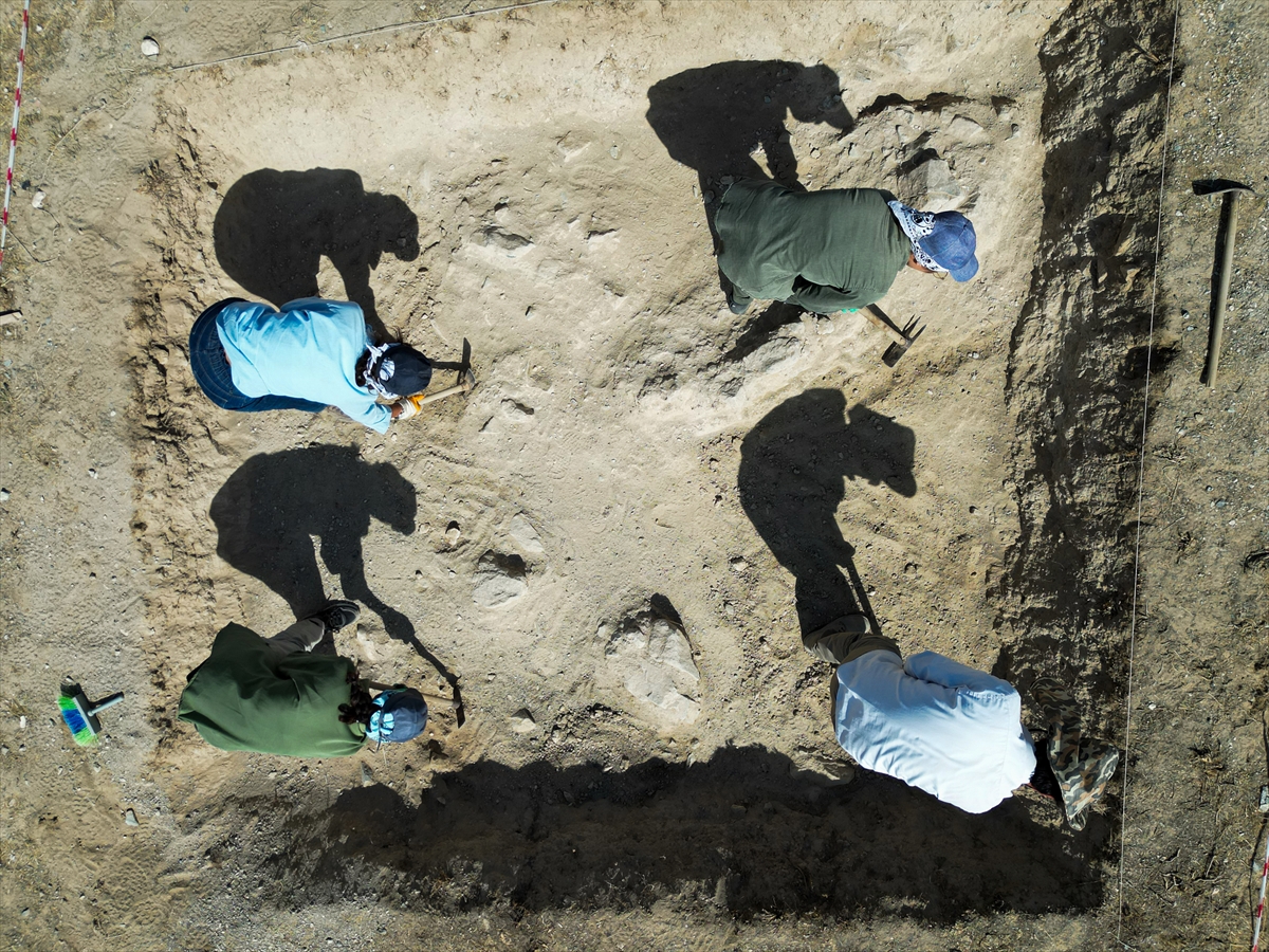 A A 20250723 38635359 38635354 A R K E O L O G L A R K A V U R U C U S I C A K T A U R A R T U L A R I N A S I R L A R O N C E K I Y A S A M I N I N I Z L E R I N I A R A S T I R I Y O R