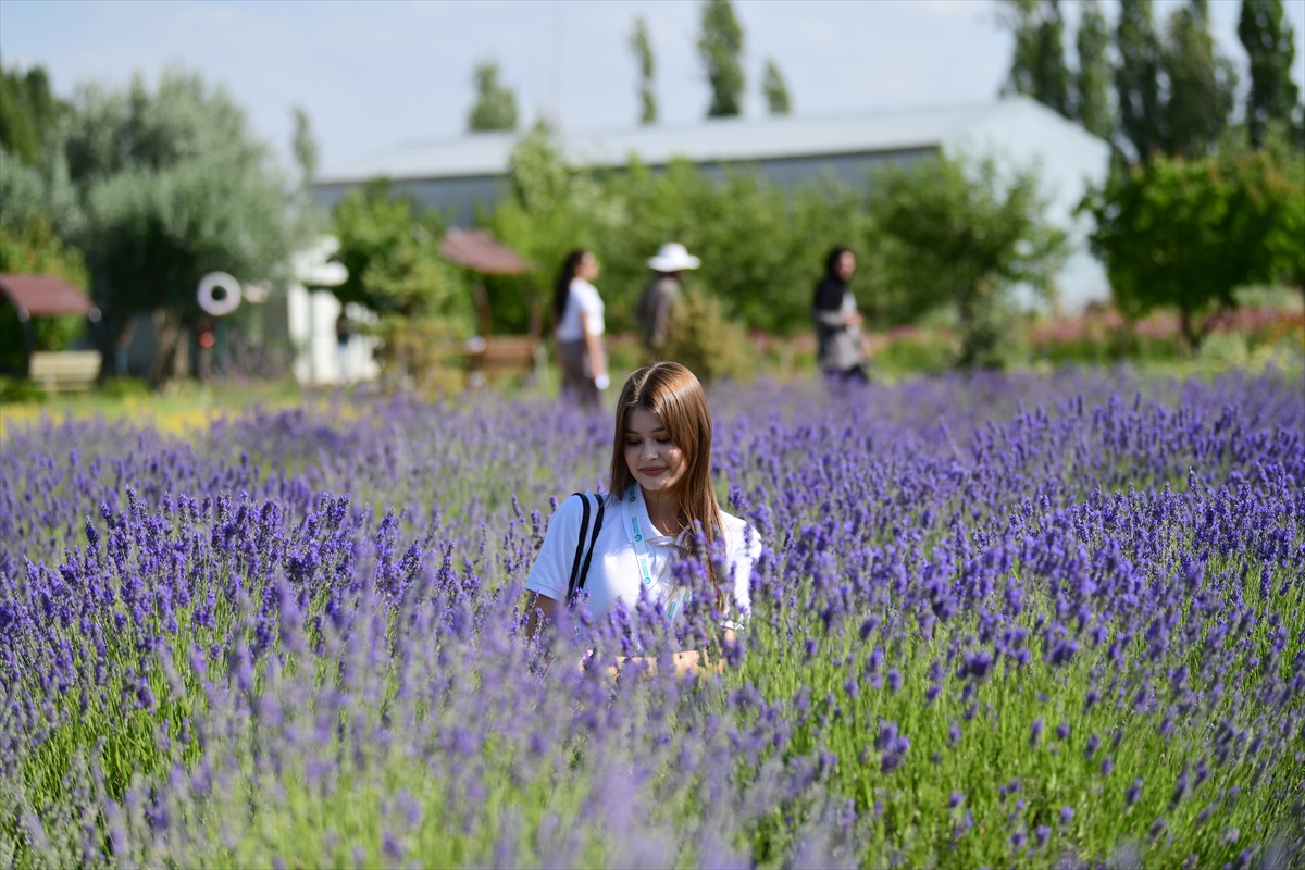 A A 20250726 38667066 38667055 Y A B A N C I O G R E N C I L E R S O Y L E D I K L E R I Y O R E S E L S A R K I L A R L A T U R K C E L E R I N I P E K I S T I R I Y O R