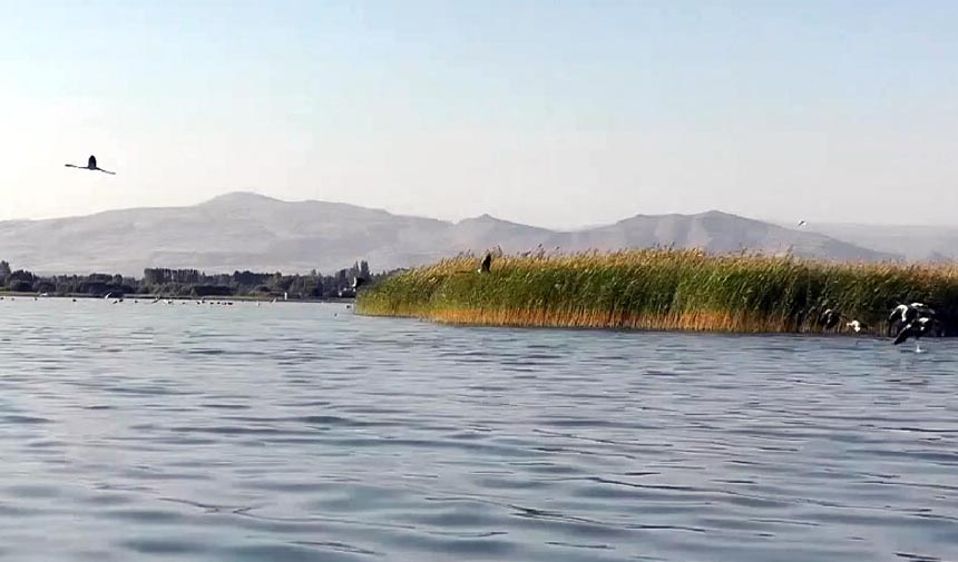 D A F E S G R D T F H G J H