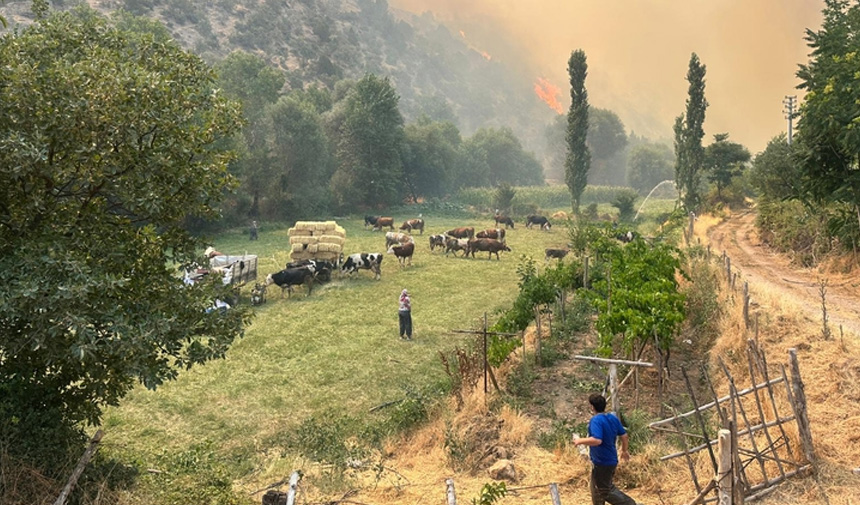 Orman Yangını-7