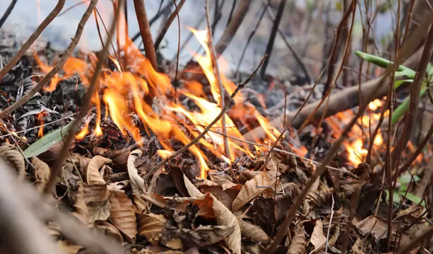 Orman Yangını Uzman Uyarı.jpg2