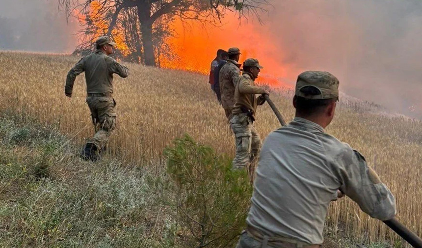 Orman Yangını.jpg2-1